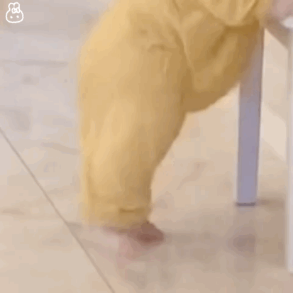  斗图表情包合集我没有胖,我是可爱到膨胀