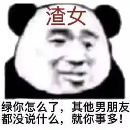  超级皮的熊猫表情你们都睡了吗说好的熬夜呢,太让我失望了