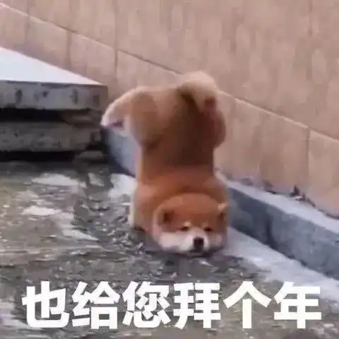  一些比较有趣的拜年表情包