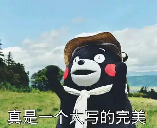 苏维埃同志表情包综合症