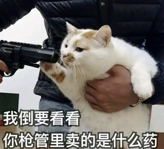 打狗狗表情包猫咪