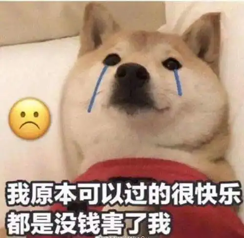 我又没钱表情包认输