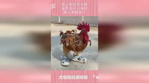  穿上耐克切尔西,迷死全村小母鸡,路人表情亮了