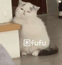  臭男人,同归于尽吧第213期表情包