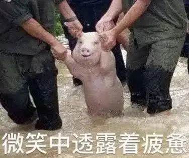  年度表情包大赏小猪佩奇,假笑boy,边缘试探.你最爱