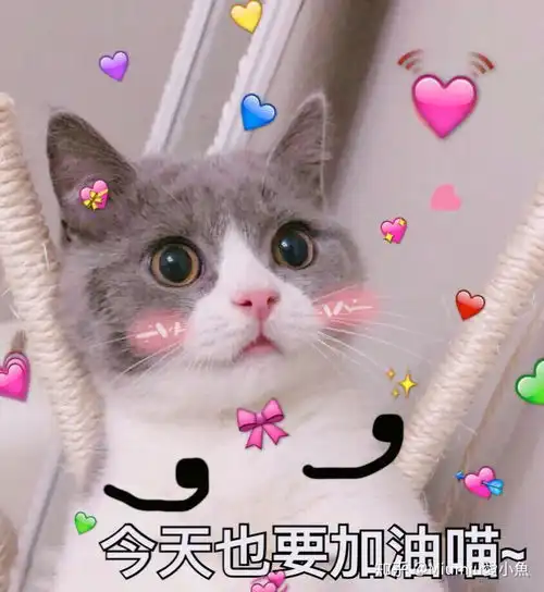  考研一定要提前联系导师吗