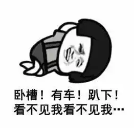  大吉大利,今晚吃鸡