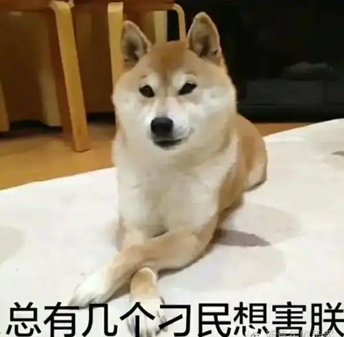 柴犬挨打表情包在干嘛