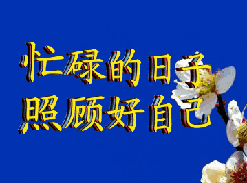  跟父母长辈聊天专用表情包