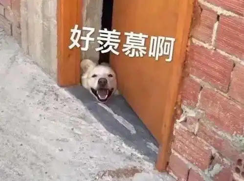 五一假期,阜阳最美的风景线在这多人拍下...