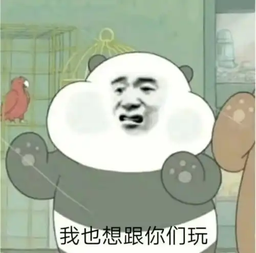  好家伙,学完以后我收到了10份offer