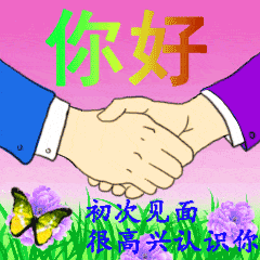  你好打招呼表情包,漂亮的美女早上好问候,不用打字表情说话