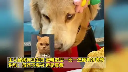  主人给狗狗过生日,蛋糕造型一比一还原狗狗表情