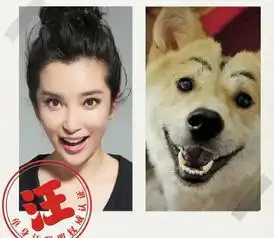  李冰冰模仿狗狗表情自嘲光棍节快乐图