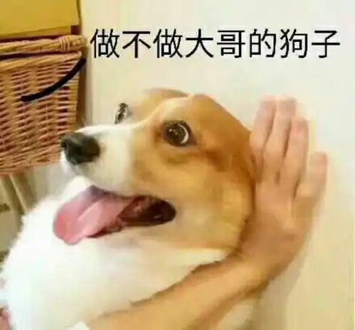  blued的正确使用方式是什么