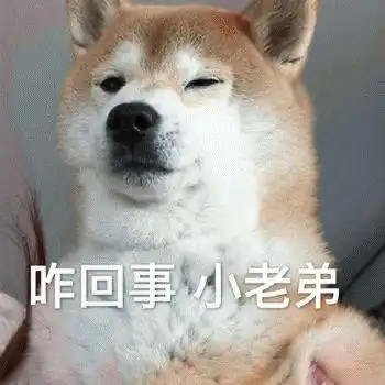  有哪些沙雕又可爱的动物表情包