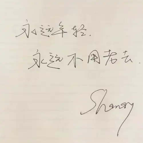  这场展览里,开满了熊猫丨黑与白熊猫艺术创意展持续火爆