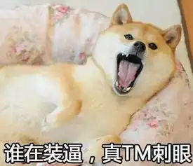  你点的双十二沙雕安利已送到,请查收