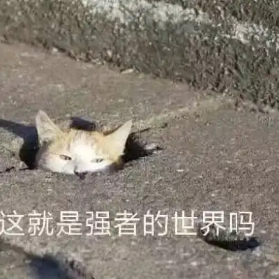  大连理工本科生顶会连刷sota被爆作弊,aaai2022接收后又面临撤稿,一作仍未发声