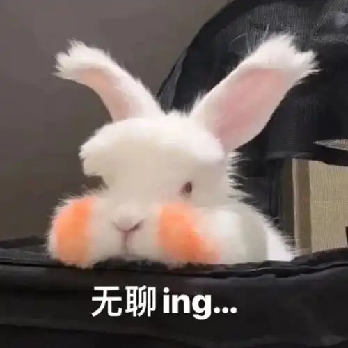  可爱的斗图表情包合集超级开心