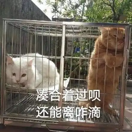 委屈的抱住自己表情包