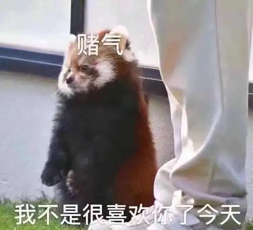  大家怎么看待姐弟恋需要弟弟照顾的姐姐