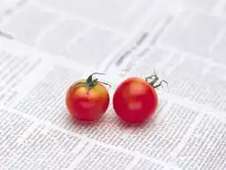  hdfruitsandvegetablesphotosanddigitalminipulations16001200第9张壁纸