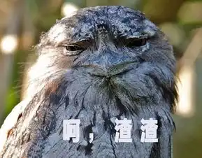  一只樱桃小嘴但是自带表情包的鸟