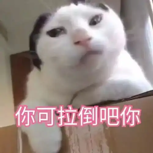  你看你,笑得像个二百斤的傻子