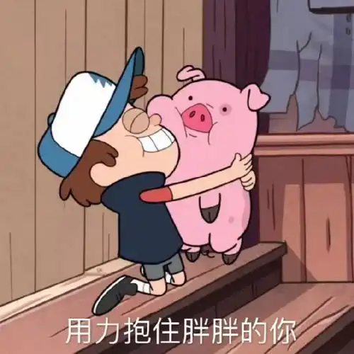 一把抱住表情包猪肉