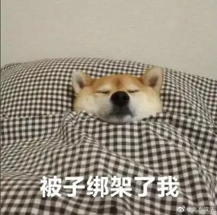  早起困难户花百元买个叫醒神器,结果暴躁一上午