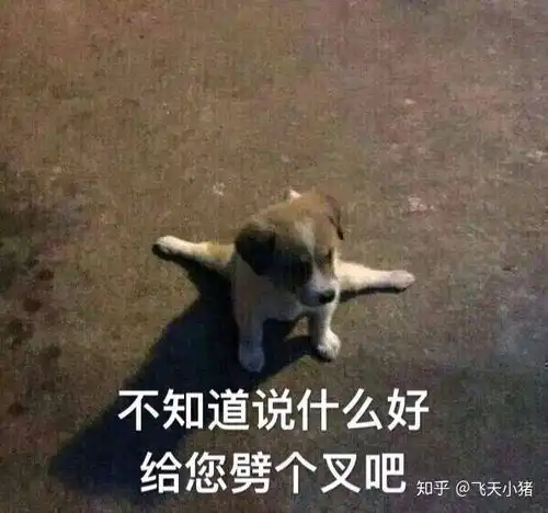  关于成长的一些碎碎念