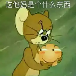 表情包大林猫和老鼠