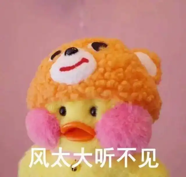  可爱的玻尿酸鸭系列