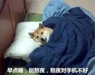  表情包早点睡,别熬夜,熬夜对手机不好