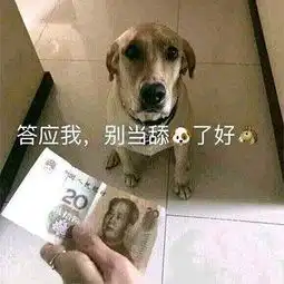  狗狗表情包确认过眼神,是不理的人