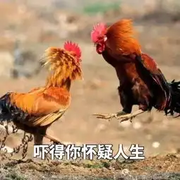  笑到炸裂鸡年表情包大全有了这些,从此斗图不再怕