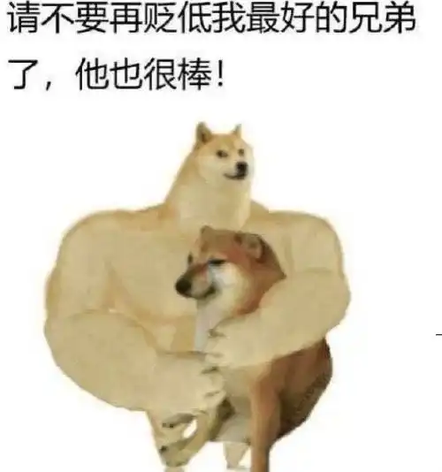 这个一直给doge当配角的狗子正在成为下一代doge