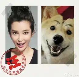  李冰冰模仿狗狗表情翻白眼吐舌头神还原