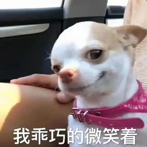  因为腰间盘突出要学狗爬,结果被邻居看到了哈哈