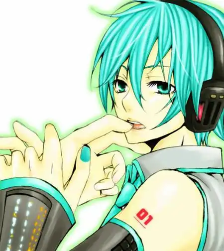  初音未来有男朋友吗