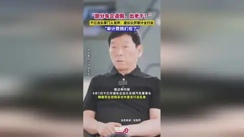 部分车企造假出老千千亿龙头掌门人发声建议公开审计全行业,审计费我们包了