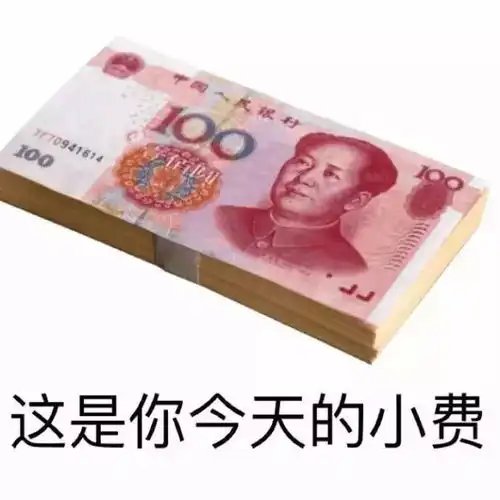 钞票图片表情包两张