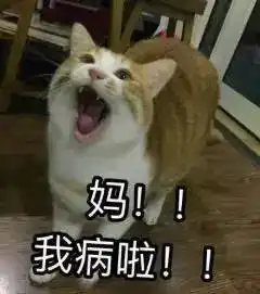  一人一句模仿妈妈说过的话
