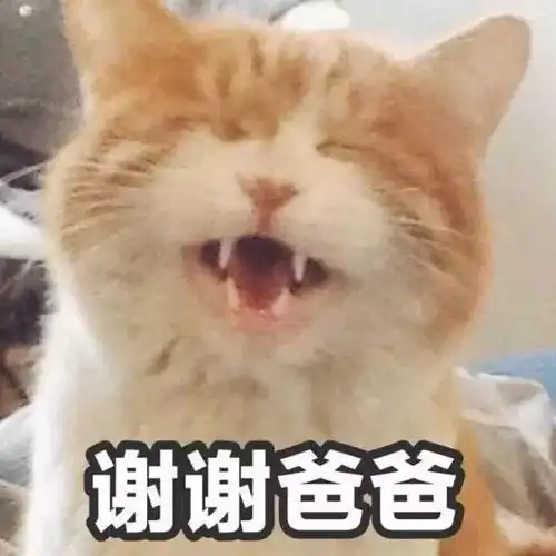  双十一,到底该抢点啥