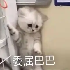  诶呀,好无聊呀,有人聊天嘛