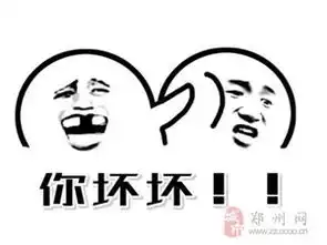  郑州网
