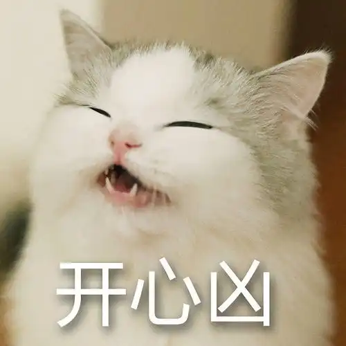  晚上好哟