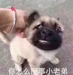  2018年度20大喜感新闻出炉哈哈哈