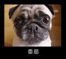  艾小姐的周四下午